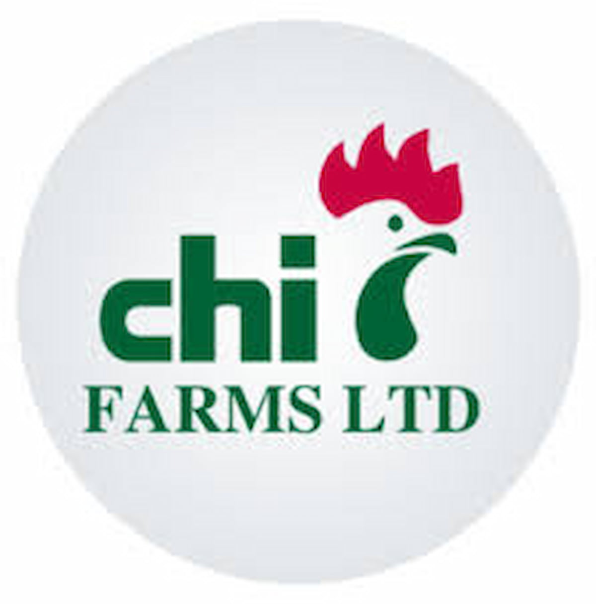 Brand Logo 2